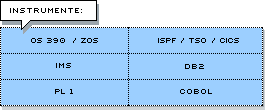 OS 390/zOS, IMS, PL 1, ISPF/TSO/CICS, DB2, Cobol